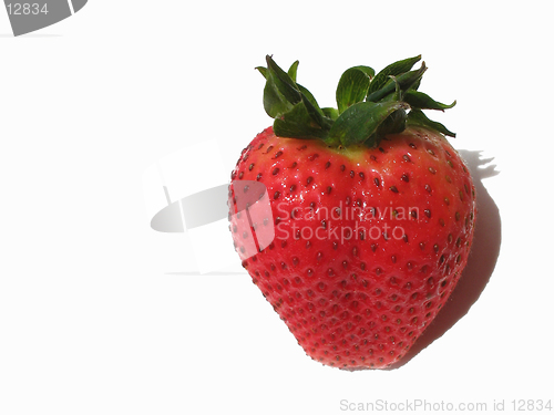 Image of Fresh Fragaria