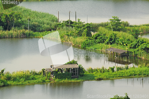 Image of Rice terrace landscape in China 