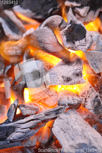 Image of Decaying red coals of a tree in a fire 