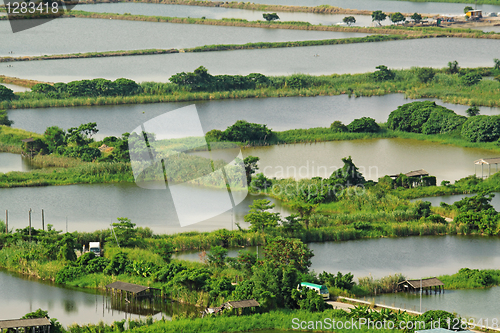Image of Rice terrace landscape in China 