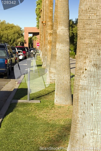 Image of Cars parked along the side of a street on University Campus