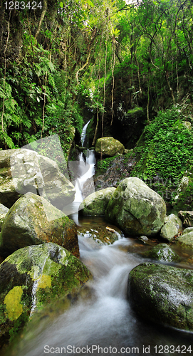 Image of Hidden rain forest waterfall with lush foliage and mossy rocks 