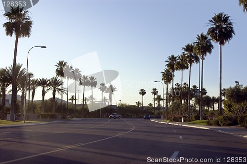 Image of Palm Trees Along the Road of a Strip Mall