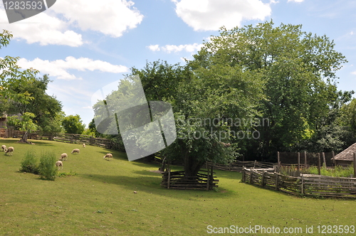 Image of Black Creek Pioneer Village in Toronto