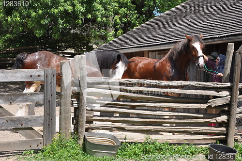 Image of Black Creek Pioneer Village in Toronto