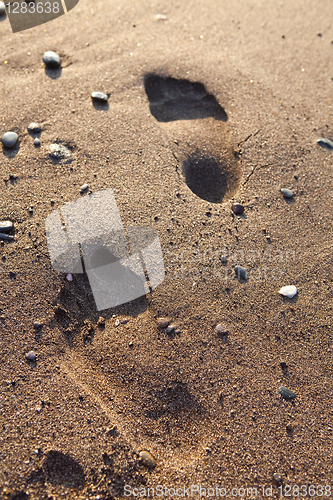 Image of Footprints in sand