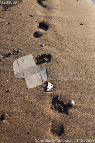 Image of Footprints in sand