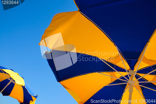 Image of Beach umbrellas 