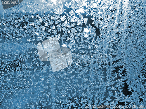 Image of frosty natural pattern