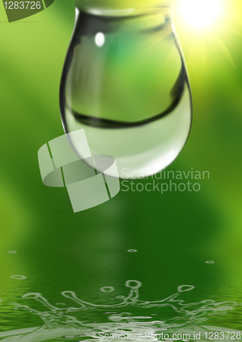 Image of Water drops