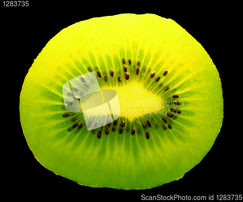 Image of kiwi on black