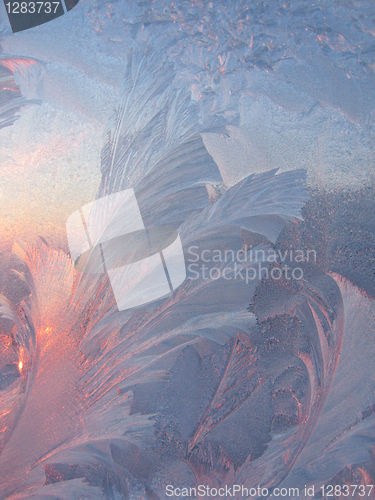 Image of frost and sun