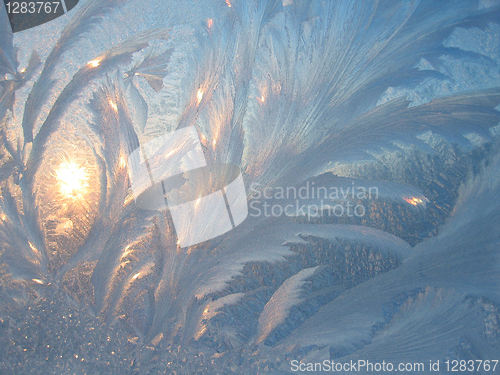 Image of frost and sun