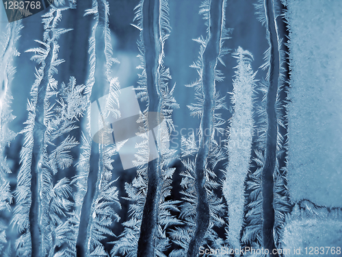 Image of Frosty natural pattern 