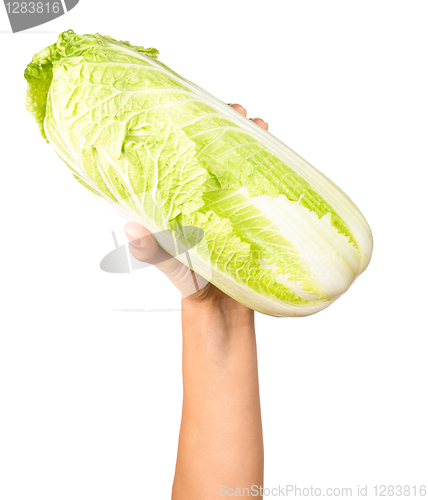 Image of no caption