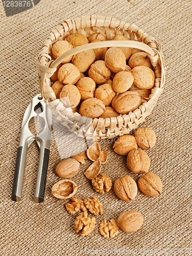 Image of Walnut in basket and nut cracker