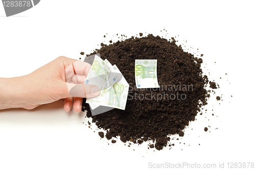 Image of Hand planting Euro banknotes