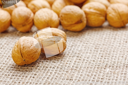 Image of Walnuts on homespun linen background