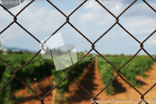 Image of Grid Fence