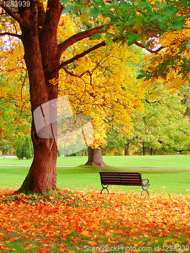 Image of Autumn in Helsinki Public Garden