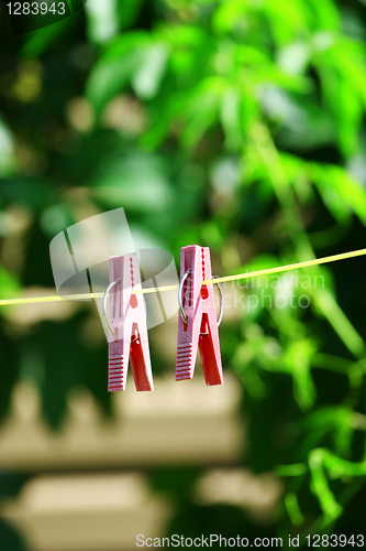 Image of Two pink clothes pins