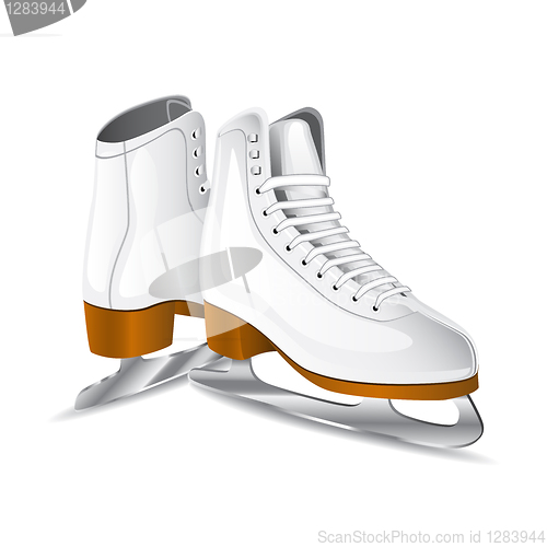 Image of Vector white figure skates 