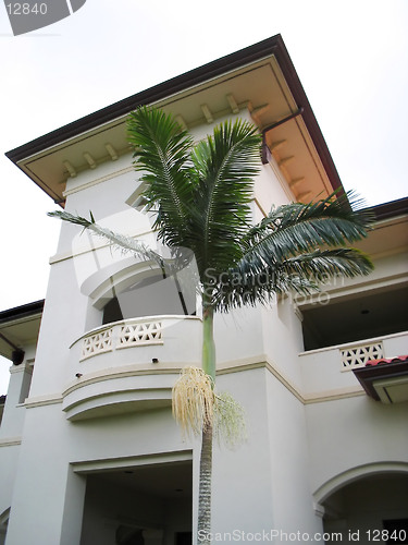 Image of Akoakoa Tower