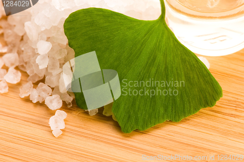 Image of fresh leaves ginko biloba essential oil and sea salt - beauty tr