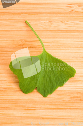 Image of Fresh Leaves Ginkgo On The Wood