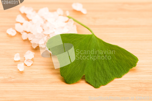 Image of fresh leaves ginko biloba essential oil and sea salt - beauty tr