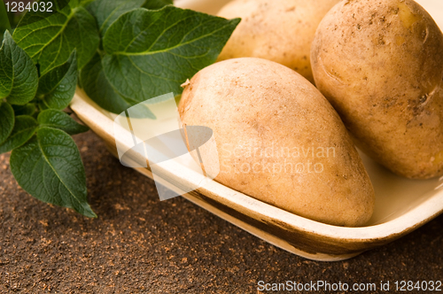 Image of New potato and green dill