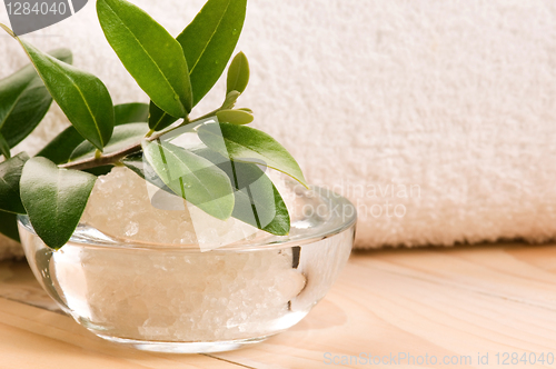 Image of Sea Salt With Fresh Olive Branch. Spa And Wellness 