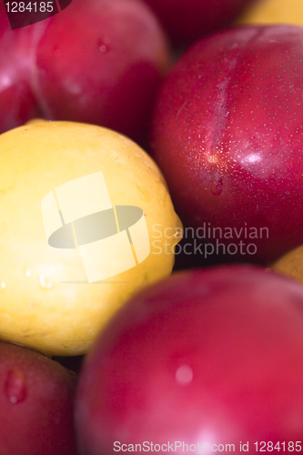 Image of Plums