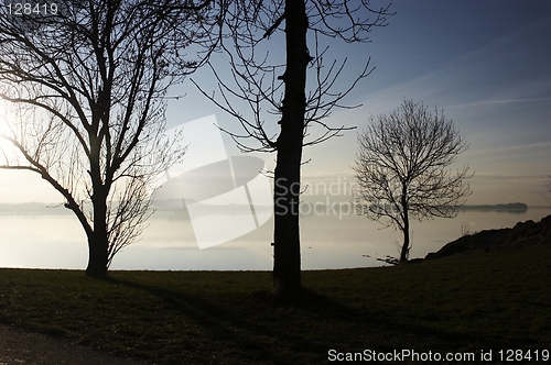 Image of Scandinavian Spring Morning