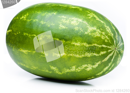 Image of Watermelon