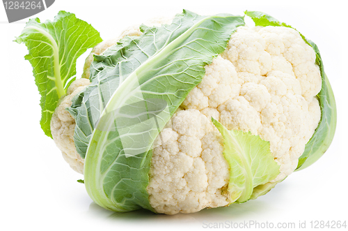 Image of Cauliflower 