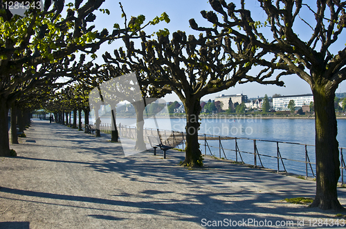 Image of Rhine promenade in Bonn