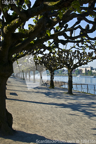 Image of Rhine promenade in Bonn