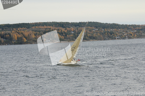 Image of windy day