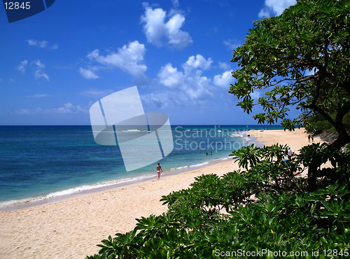 Image of North Shore Stroll