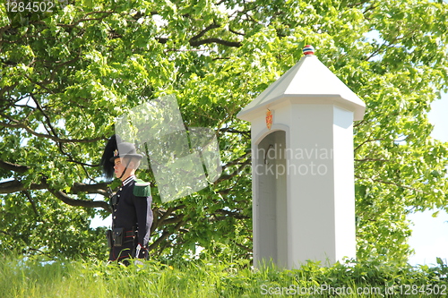 Image of Royal norwegian guard