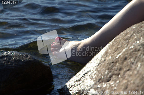 Image of Foot