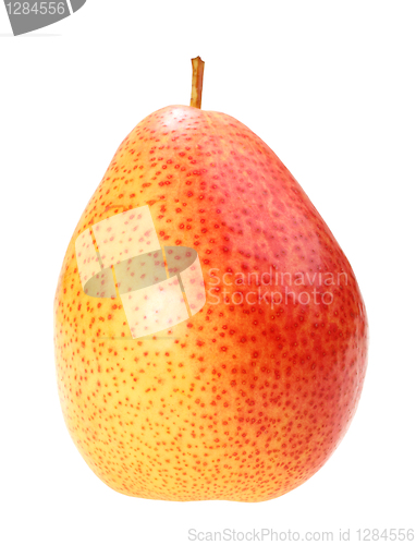 Image of Single a red-yellow pear