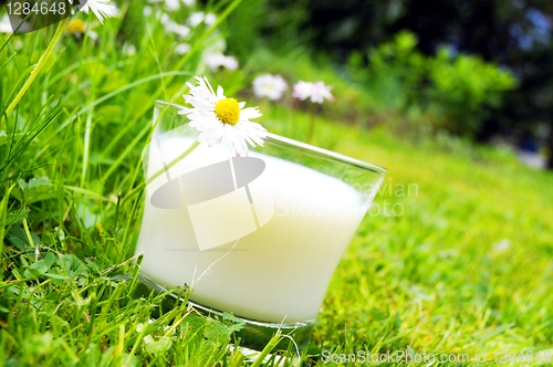 Image of milk