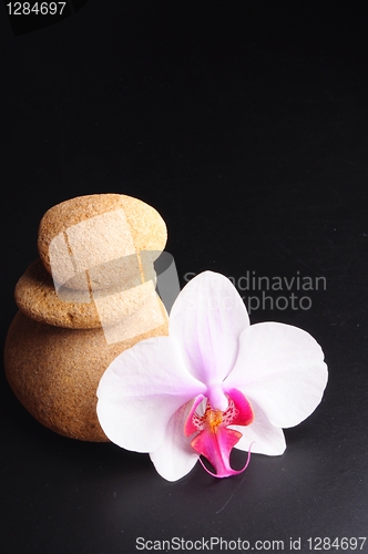 Image of zen stones