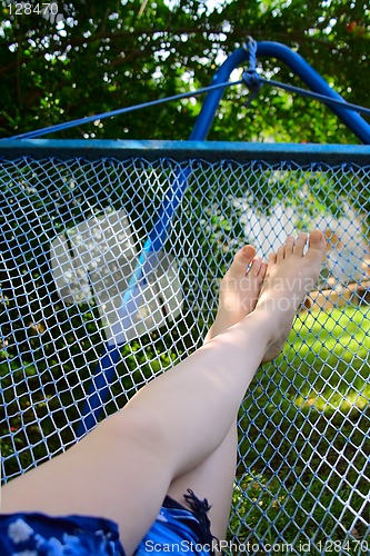 Image of Legs and hammock