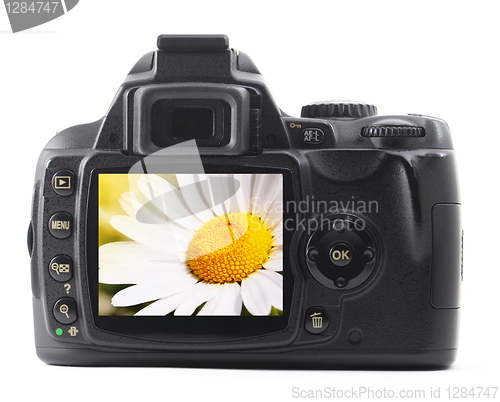Image of holiday flower on camera