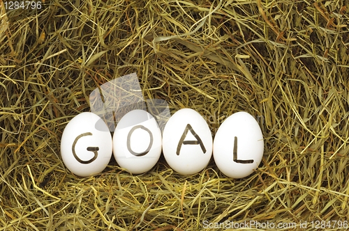 Image of goal