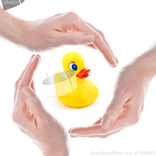 Image of rubber duck