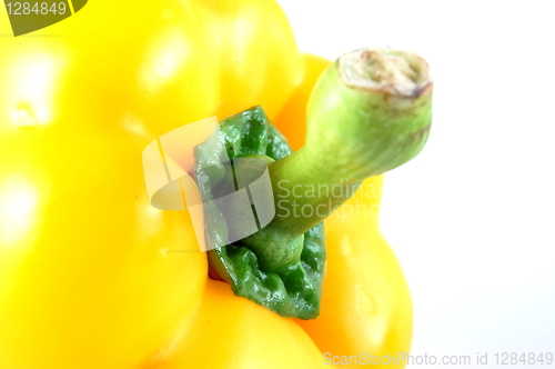 Image of Paprika on white